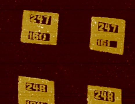 AFM Calibration Sample